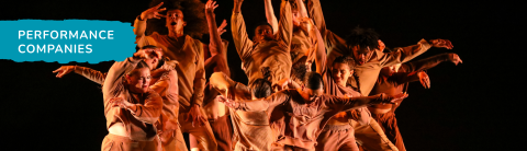 Performance Companies