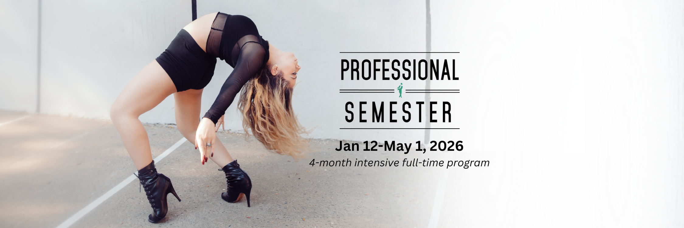 Professional Semester