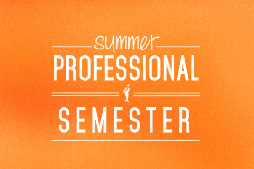 Summer Pro Sem