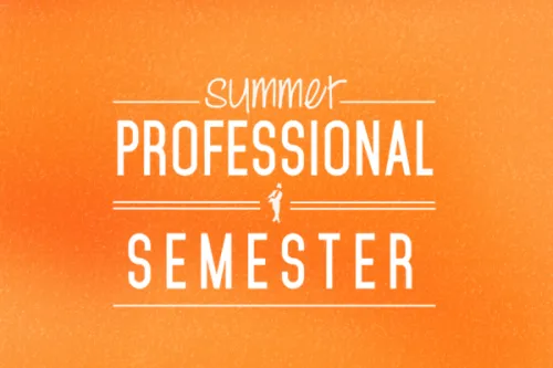 Summer Pro Sem
